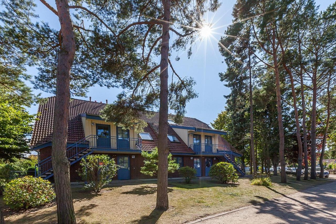 Feriendorf Papillon Wohnung 15-1 Boltenhagen  Dış mekan fotoğraf
